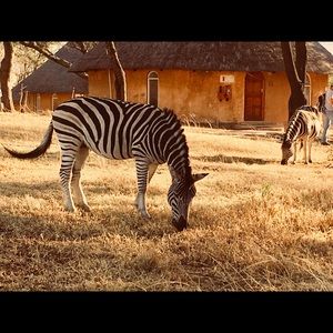 Meet your Posher, Vickie